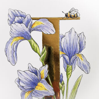 I Is For Iris, Gilded Botanical Print, 3 of 5