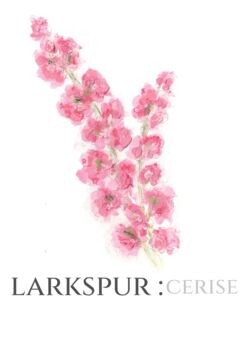 Cerise Larkspur Table Name Number Double Sided A5 Wedding Stationery, 2 of 6