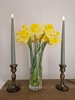 Meadow Green LED Taper Candles, 4 of 5