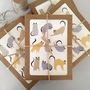 Cats Boxed Greeting Card Set, thumbnail 1 of 12