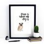 Home Is Where My Dog Is Pug Print, thumbnail 1 of 3