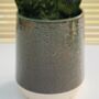 Glass Effect Natural Ceramic Planter / Plant Pot, thumbnail 4 of 4