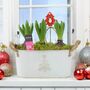 Christmas Hyacinth Trough – Fragrant Festive Display, thumbnail 1 of 6