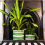 Striped Recycled House Plant Pot Covers Three Sizes, thumbnail 12 of 12