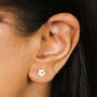 Tiny White Daisy Stud Earrings In Gold Plating, thumbnail 1 of 4