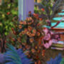 Fantasy Angels And Deities Rainforest Art Print, thumbnail 6 of 6