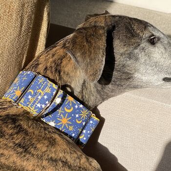 Martingale Collar In Nights Sky Design, 6 of 6
