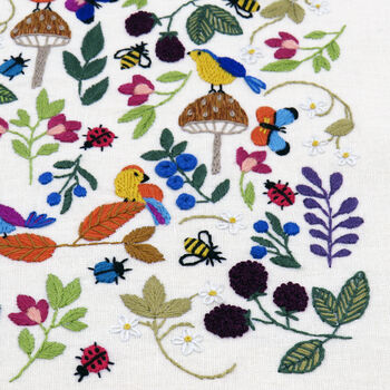 Birds, Bugs And Berries, Hand Embroidery Kit, 2 of 12