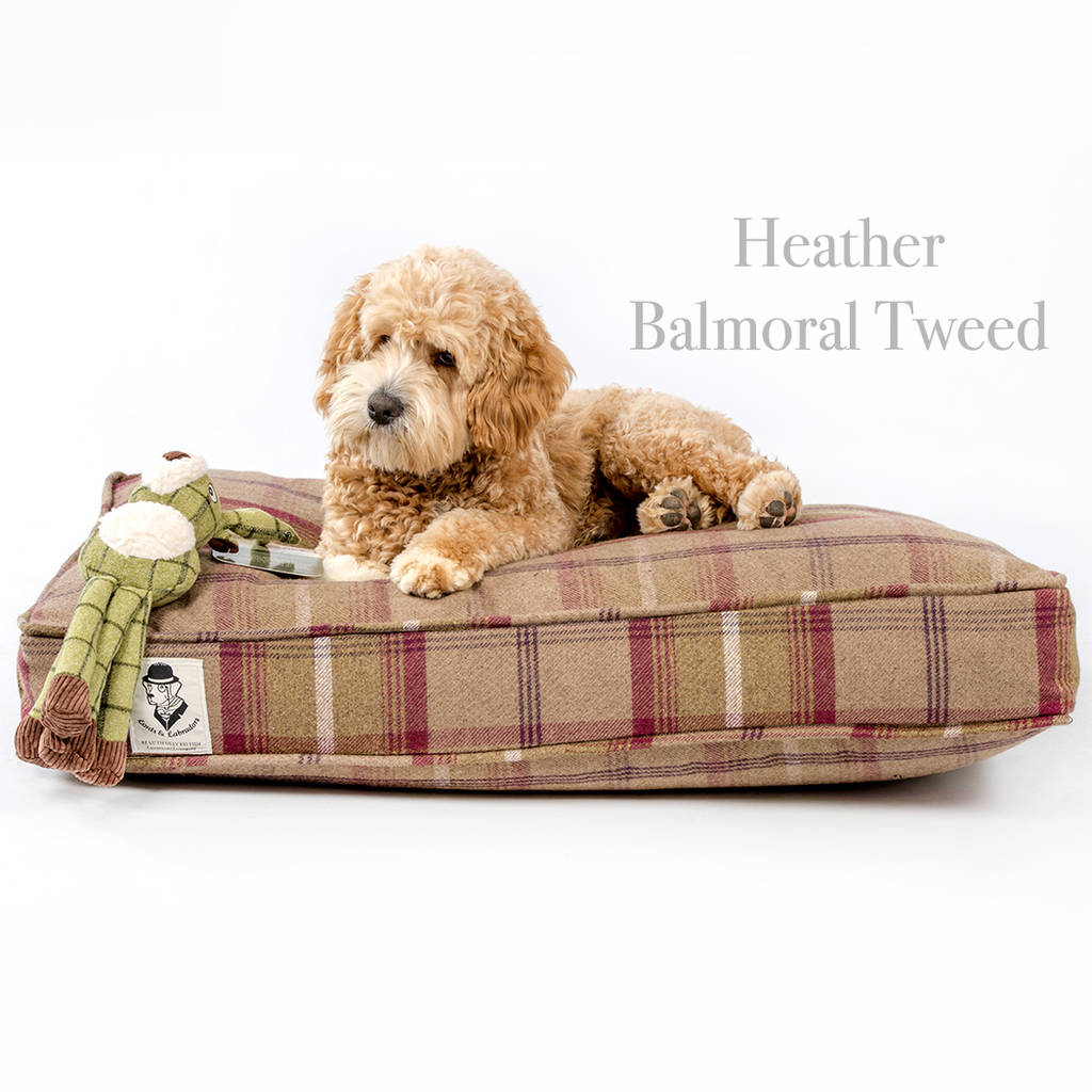 tweed dog cushion available in five colours by lords & labradors