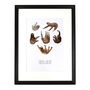 Sleuth Of Sloths Art Print, thumbnail 2 of 7