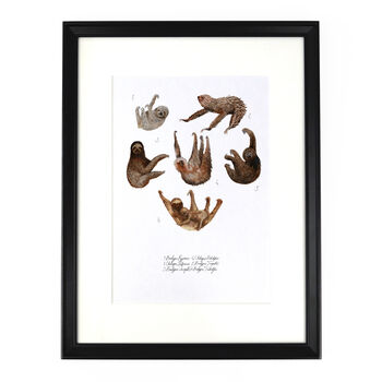 Sleuth Of Sloths Art Print, 2 of 7