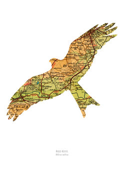 Personalised Red Kite Map Print, 2 of 4