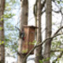 Handcrafted Woodpecker Nesting Box – Fsc Pinewood Wooden, thumbnail 5 of 12