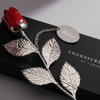 Mother's Day Rose, 5 of 5