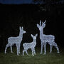 Swinsty Dual LED Battery Outdoor Reindeer Family, thumbnail 1 of 4
