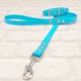 Waterproof Dog Collar And Lead Set Baby Blue, thumbnail 1 of 3