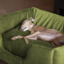 Charley Chau Deep Sided Dog Bed In Velour, thumbnail 6 of 12