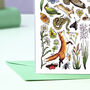 Meadow Wildlife Of Britain Greeting Card, thumbnail 6 of 8