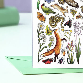 Meadow Wildlife Of Britain Greeting Card, 6 of 8