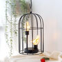 Birdcage Decorative Lamp Battery Operated Cordless, thumbnail 5 of 10
