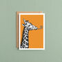 Giraffe Birthday Card, thumbnail 2 of 6