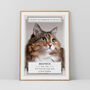 Personalised Pet Loss Cat Memorial Photo Print Wall Art, thumbnail 1 of 5