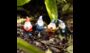 Garden Gnomes Set, thumbnail 1 of 6