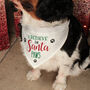I Believe In Santa Paws Dog Bandana And Strap Collar, thumbnail 1 of 2