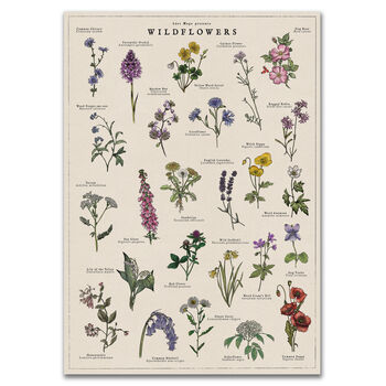 British Wildflower Botanical Print, 3 of 11