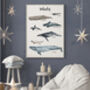 Whales Of The Oceans Illustrated Watercolour Art Print, thumbnail 1 of 5