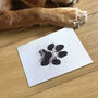 Pet Safe Non Toxic Paw Print Ink Pad Kit For Larger Paws, thumbnail 2 of 7