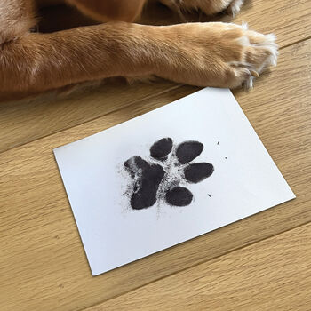 Pet Safe Non Toxic Paw Print Ink Pad Kit For Larger Paws, 2 of 7