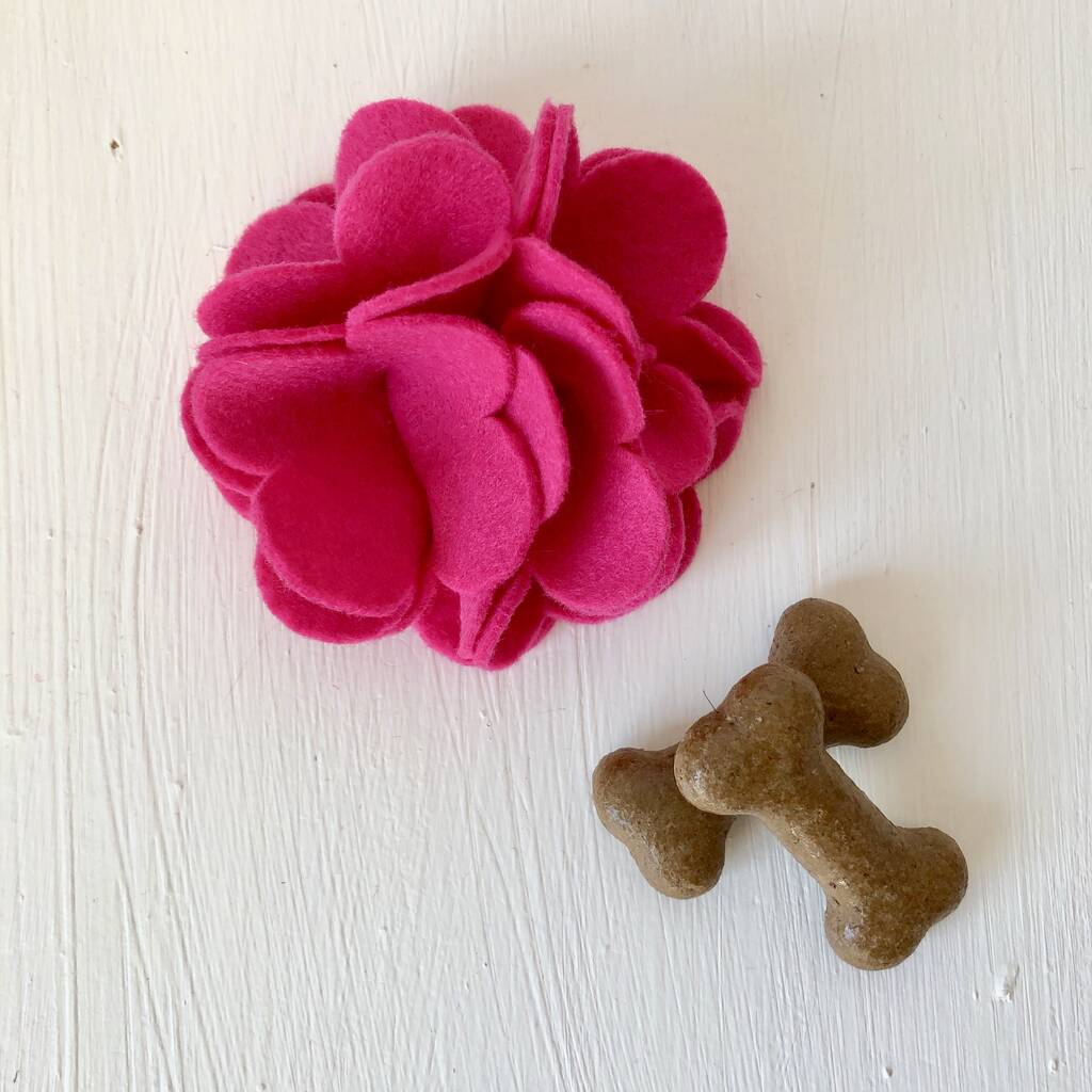 Pink, Red Or Yellow Dog Collar Flower By Charlie and Boo