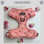 Pink Floral Dog Harness, thumbnail 1 of 4