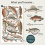 Vintage Fish Illustration Wall Stickers, thumbnail 5 of 6