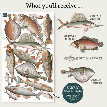 Vintage Fish Illustration Wall Stickers, 5 of 6