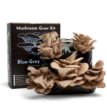 Oyster Mushroom Growing Kit – Gift Option, 4 of 12