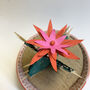 Card Cactus Making Kit, thumbnail 5 of 9