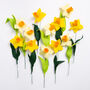 A Dozen Daffodils Felt Craft Kit, thumbnail 6 of 7
