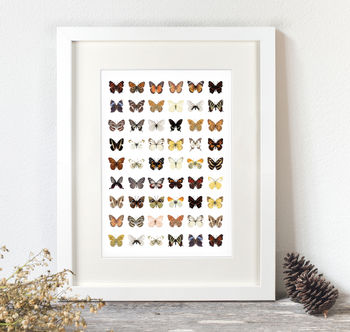 Colour Butterflies Unframed Art Home Print, 2 of 4