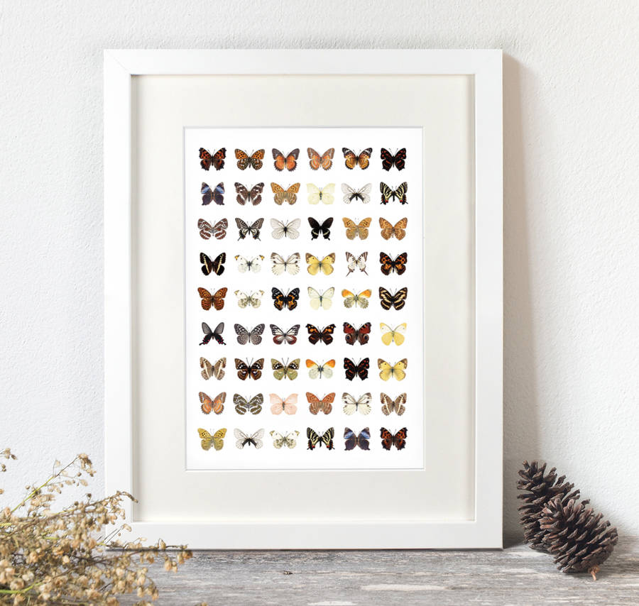 Colour Butterflies Print, 1 of 4