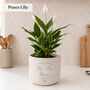 Personalised Wedding Day Gift | Indoor Pot Add Plant, thumbnail 3 of 7