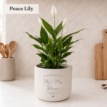 Personalised Wedding Day Gift | Indoor Pot Add Plant, 3 of 7
