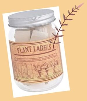 Wooden Plant Labels In A Jar, 5 of 5