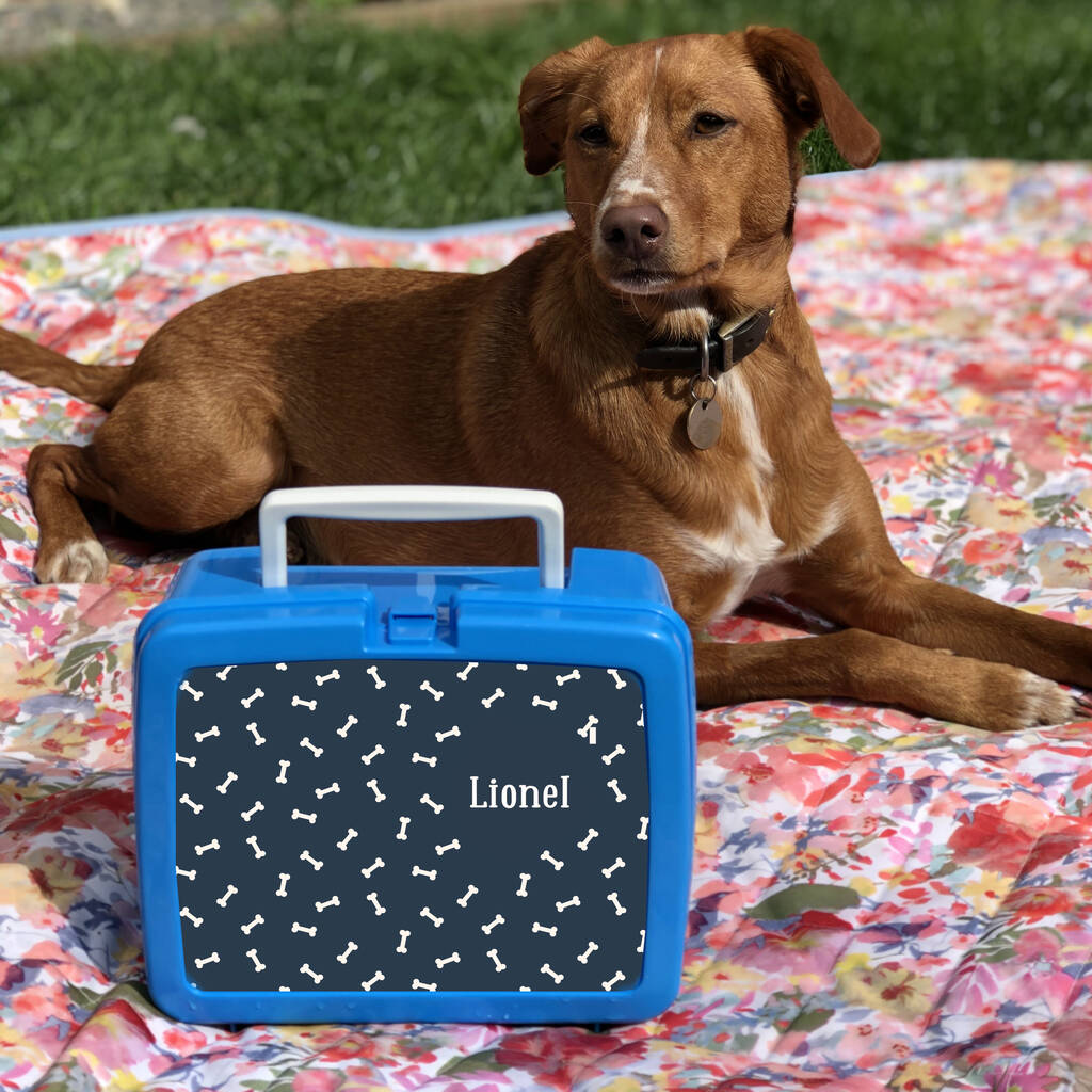 plush carry box for dogs