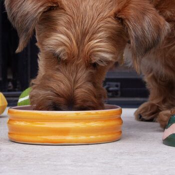 Handmade Pet Bowl, 5 of 6