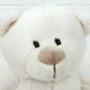 Soft Toy Teddy Bear With Personalised Keepsake Keyring, thumbnail 5 of 7