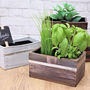 Personalised Wooden Indoor Planter, thumbnail 6 of 6