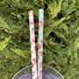 Vintage Flower Paper Straws Box Of 20 Eco Straws, thumbnail 5 of 8