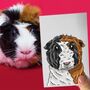 Personalised Guinea Pig Half Portrait Print, thumbnail 4 of 11